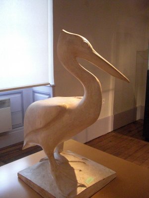 Pelican